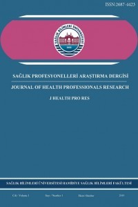 Sağlık Profesyonelleri Araştırma Dergisi