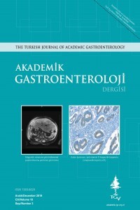 Akademik Gastroenteroloji Dergisi