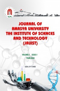 Journal of Amasya University the Institute Sciences and Technology