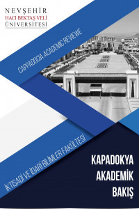 Kapadokya Akademik Bakış